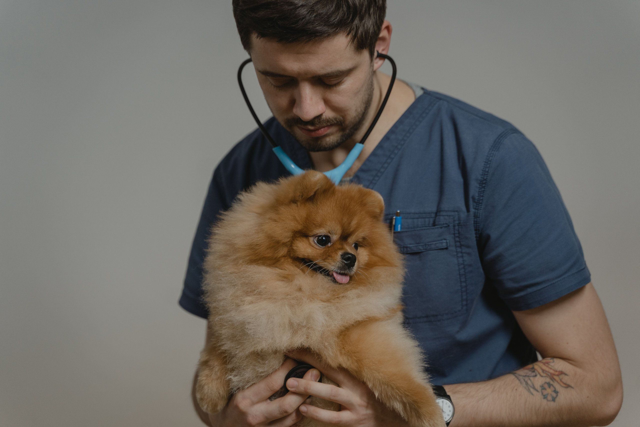 A vet holding paperwork next to a dog